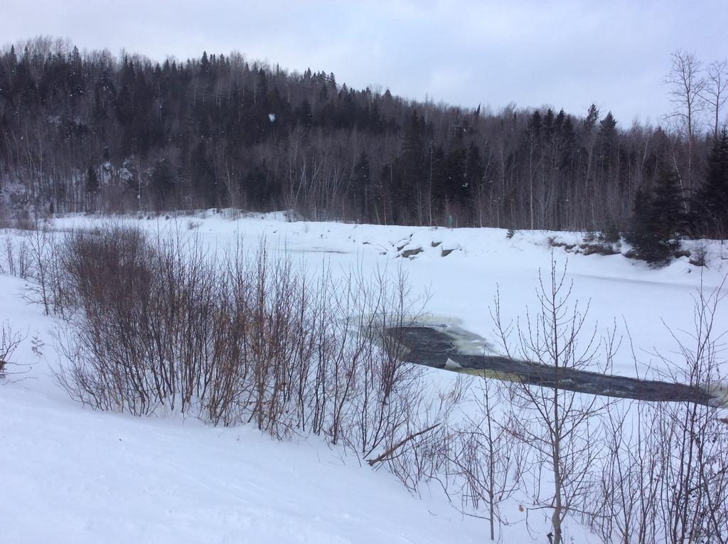 Camping Le 4 Chemins LʼAnse-Saint-Jean Exterior foto